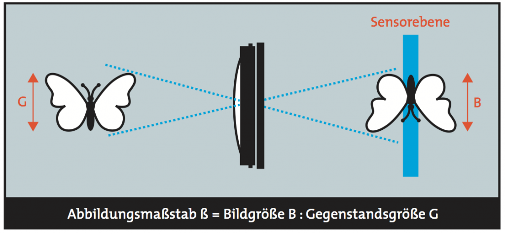 Abbildungsmasstab 1:1